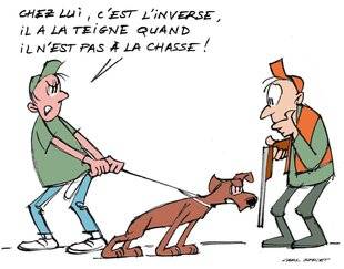 La Revue Nationale de La Chasse 937 COMMENT TRAITER LA TEIGNE LORS D'UNE SAISON DE CHASSE ?