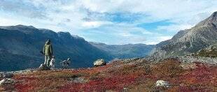 La Revue Nationale de La Chasse 937 LAGOPÈDES : UNE QUÊTE AUTOMNALE UNIQUE