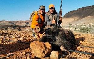 La Revue Nationale de La Chasse 937 SUS SCROFA ALGIRA : LE SANGLIER D'AFRIQUE DU NORD