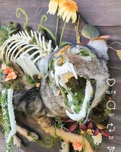 La Revue Nationale de La Chasse 937 La taxidermie va-t-elle trop loin ?