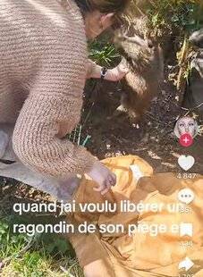 La Revue Nationale de La Chasse 937 La nature est cruelle