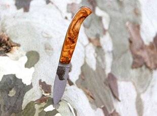 La Revue Nationale de La Chasse 938 PASSION AFFICHÉE… ET TRANCHANTE !