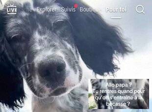 La Revue Nationale de La Chasse 938 L'appel de la bécasse