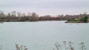 La Revue Nationale de La Chasse 938 À la loupe : la chasse de nuit des canards