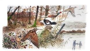 La Revue Nationale de La Chasse 938 Petit gibier en forêt de Rambouillet