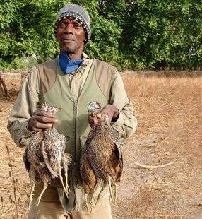 La Revue Nationale de La Chasse 938 PETITS GIBIERS DE GAMBIE