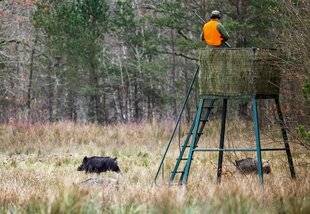 La Revue Nationale de La Chasse 939 Sous le robinet