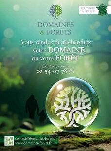 La Revue Nationale de La Chasse 939 DOMAINE & FORÊTS