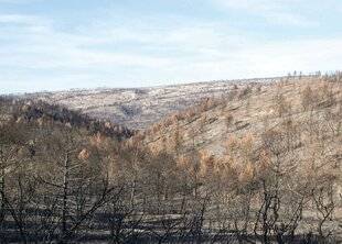 La Revue Nationale de La Chasse 939 L'AICA SAINT-VICTOR APPELLE À L'AIDE