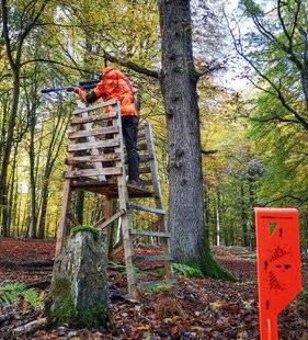 La Revue Nationale de La Chasse 939 ANGLE DES 30°, EST-CE BIEN SUFFISANT ?