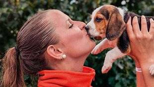 La Revue Nationale de La Chasse 939 Fanny Delambily redonne du souffle à l'ADJC des Côtes-d'Armor