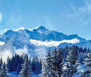 La Revue Nationale de La Chasse 939 Biologie des espèces : l'hibernation