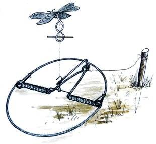 La Revue Nationale de La Chasse 939 LE PIÉGEAGE DES PETITS OISEAUX