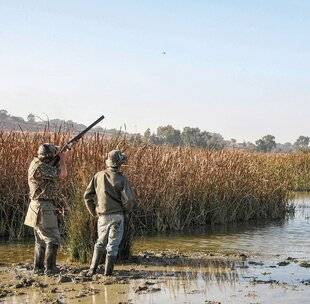 La Revue Nationale de La Chasse 939 BÉCASSINES MAROCAINES