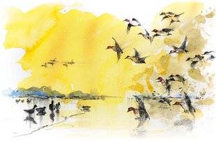 La Revue Nationale de La Chasse 940 Tableau de grand gibier saison 2024-2025