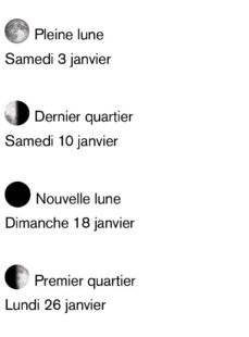 La Revue Nationale de La Chasse 940 Le calendrier migratoire