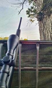 La Revue Nationale de La Chasse 940 À la loupe : la traque-affût