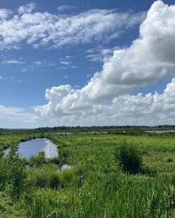 La Revue Nationale de La Chasse 940 BIENVENUE EN TERRE D'EXCELLENCE