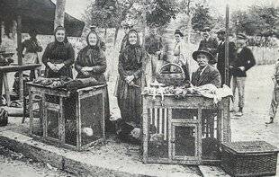 La Revue Nationale de La Chasse 940 LE MERLE DE NOËL