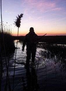 La Revue Nationale de La Chasse 940 PEUT-ON LE CHASSER À LA PASSÉE HORS ZONE HUMIDE ?