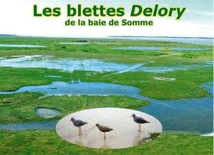 La Revue Nationale de La Chasse 940 VIVIFIANT LES BLETTES DELORY DE LA BAIE DE SOMME