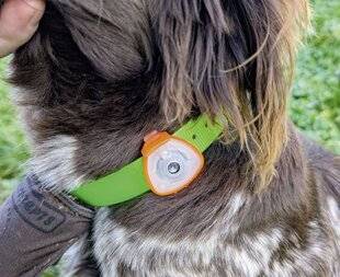 La Revue Nationale de La Chasse 941 LA SOLUTION ULTRASON