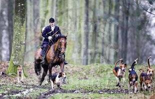 La Revue Nationale de La Chasse 941 Chasse à la loupe : la vénerie