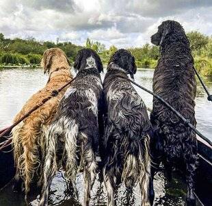 La Revue Nationale de La Chasse 941 RÉUSSIR SON APPRENTISSAGE