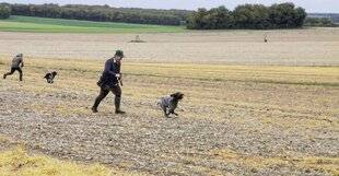 La Revue Nationale de La Chasse 941 ULKI ET TAOS AU TOP