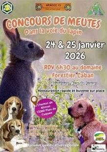 La Revue Nationale de La Chasse 941 Dans la voie du lapin