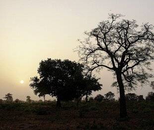 La Revue Nationale de La Chasse 941 BELLES CHASSES SÉNÉGALAISES