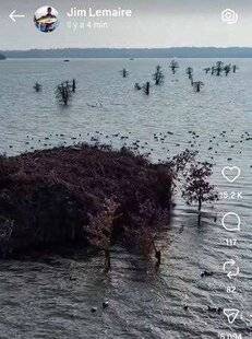 La Revue Nationale de La Chasse 942 15 000