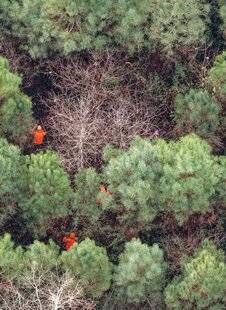 La Revue Nationale de La Chasse 942 SUS SCROFA SUR AIGUILLES DE PIN