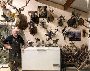 La Revue Nationale de La Chasse 942 JEAN-MARC VILLIER À TIRE-D'AILELa porte s'ouvre sur un bel atelier où Jean-Marc Villier nous accueille chaleureusement. Aux murs, de majestueux trophées de cerfs, de chevreuils et de sangliers, de lièvres et de lapins semblant s'échapper de la cloison, figés dans leur course. Des natures mortes de nombreux gibiers à plumes chassables confèrent des allures d'atelier d'artiste peintre à la pièce. Des poissons accrochés à des branches ou posés sur des souches offrent presque à l'œil le frétillement du cours d'eau voisin. Dans