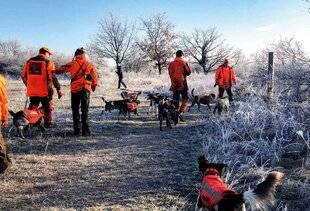 La Revue Nationale de La Chasse 942 L'ENTRAÎNEMENT EN PARC BONNE OU MAUVAISE IDÉE ?
