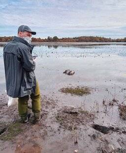 La Revue Nationale de La Chasse 942 GRIPPE AVIAIRE : LA GESTION ADAPTATIVE EST-ELLE LA SOLUTION ?