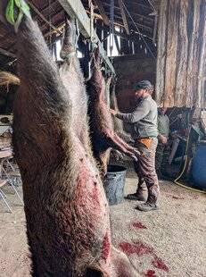 La Revue Nationale de La Chasse 942 PROTOCOLE LÉGAL DE VENTE DE VENAISON