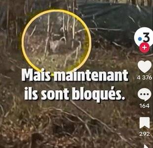La Revue Nationale de La Chasse 943 Les faits