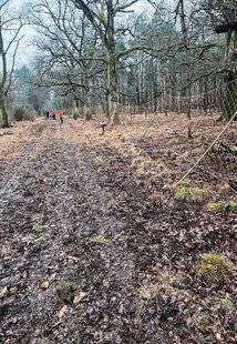 La Revue Nationale de La Chasse 943 Panneautage à Chambord : 9 jeunes invités
