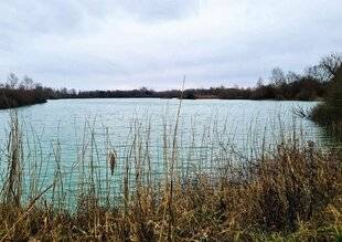 La Revue Nationale de La Chasse 943 LA TERREUR DES ÉTANGS