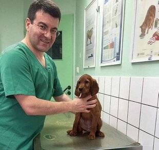 La Revue Nationale de La Chasse 943 AFFECTION PROSTATIQUE DISCRÈTE MAIS FRÉQUENTE !