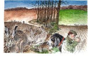 La Revue Nationale de La Chasse 943 Laisser-courre avec le rallye Au Pas du lièvre