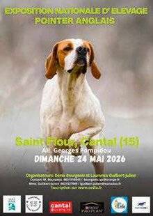 La Revue Nationale de La Chasse 944 Des plaines gersoises aux volcans cantaliens