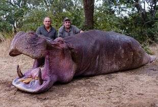 La Revue Nationale de La Chasse 944 LES GRANDS HIPPOPOTAMES DE ZAMBIE