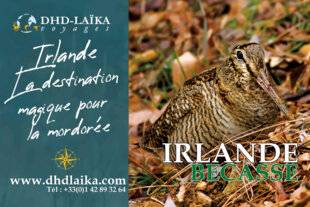 La Revue Nationale de La Chasse 945 DHD-LAÏKA