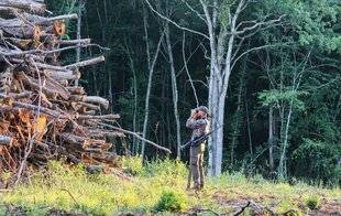 La Revue Nationale de La Chasse 945 Juin : l'approche au brocard