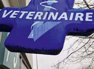 La Revue Nationale de La Chasse 945 Un geste vital pour nos chiens de chasse