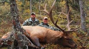La Revue Nationale de La Chasse 945 WAPITI, LE MARAL NORD-AMÉRICAIN