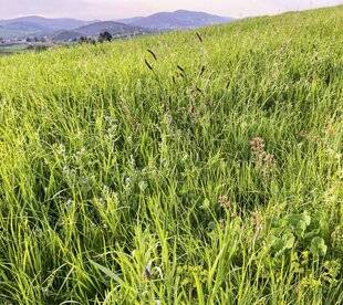 La Revue Nationale de La Chasse 946 QUELS ÉCHANGES AVEC LES BUREAUX D'ÉTUDES ÉCOLOGIQUES ?