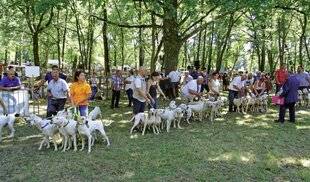 La Revue Nationale de La Chasse 946 FÊTE DU CHIEN ET DE LA CHASSE
